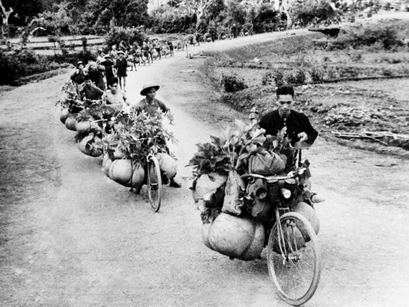 Dân công vận tải lương thực phục vụ chiến dịch Điện Biên Phủ.