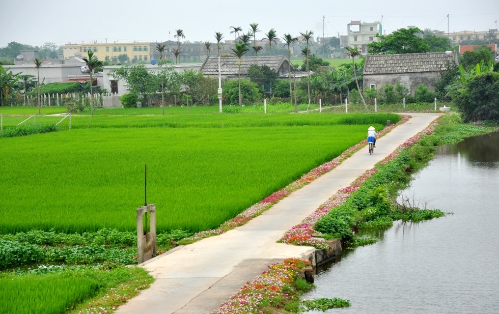 Đường quê muôn nẻo