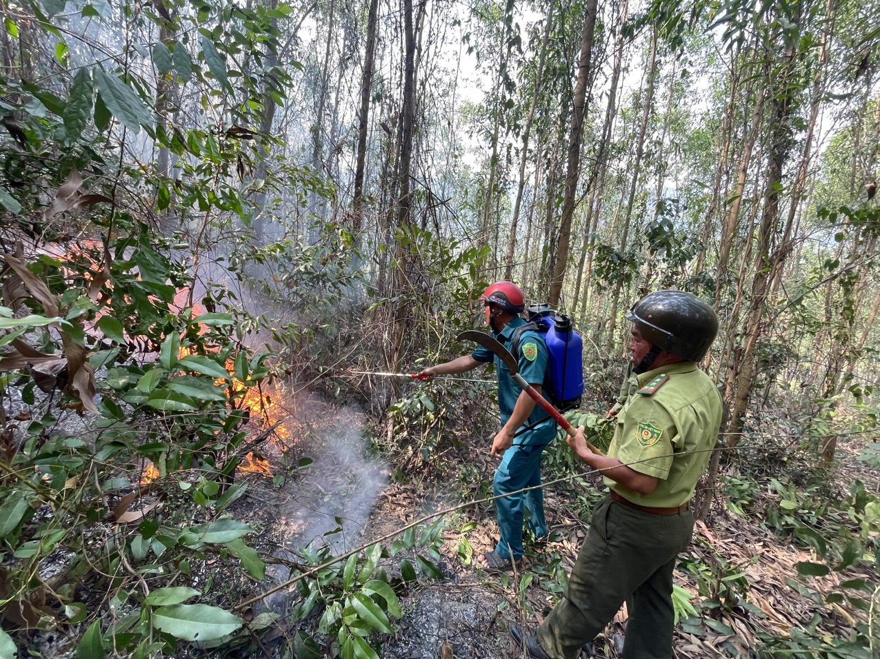 Gần đây, lực lượng kiểm lâm Ninh Hòa và Ban quản lý rừng phòng hộ Bắc Khánh Hòa xử lý kịp thời 1 đám cháy lan vào rừng trồng ở khu vực xã Ninh Tây