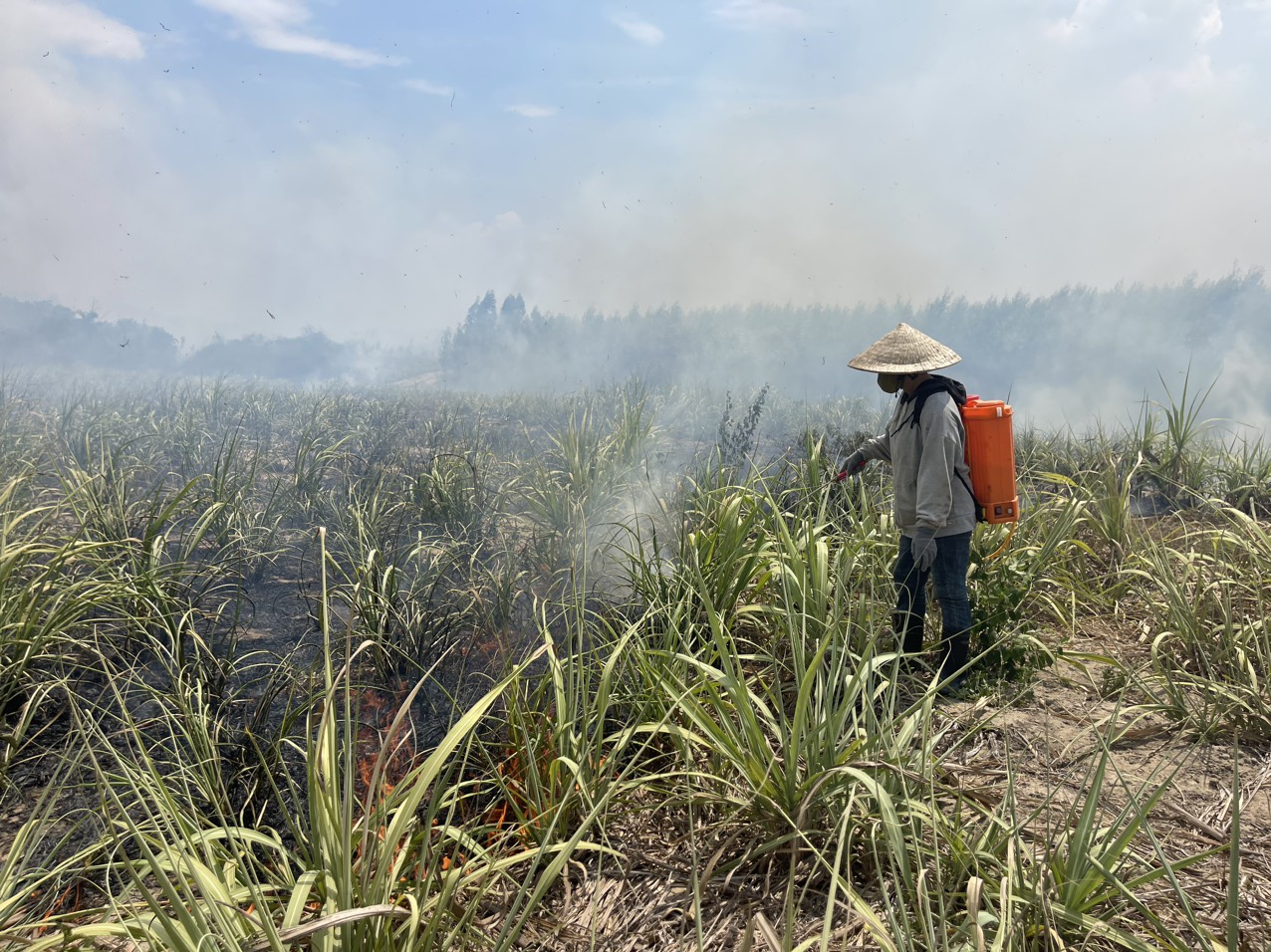 Người dân địa phương tham gia chữa cháy mía