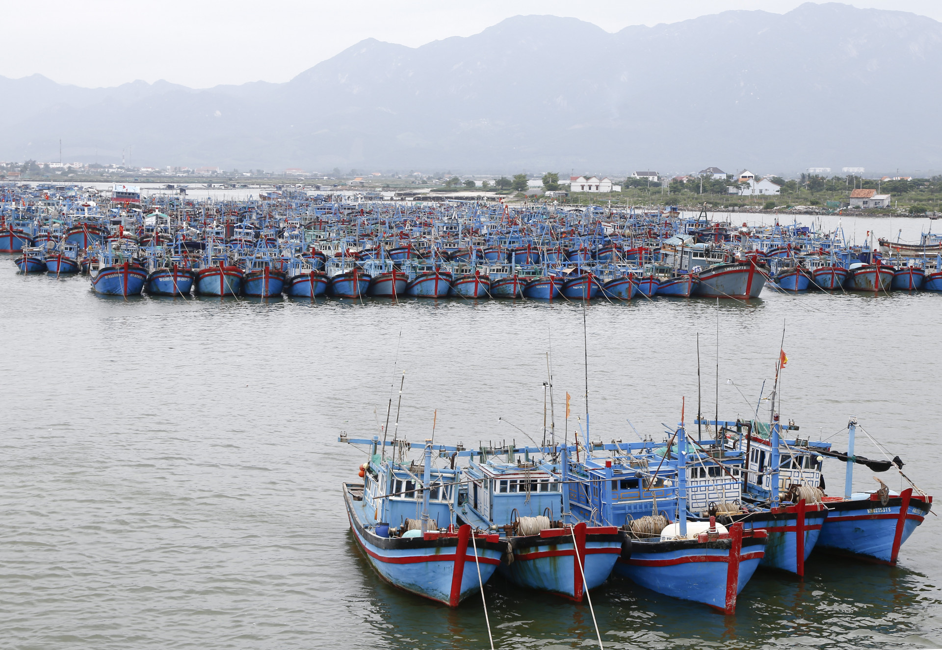 Tàu cá neo đậu tại khu tránh trú bão Ninh Hải