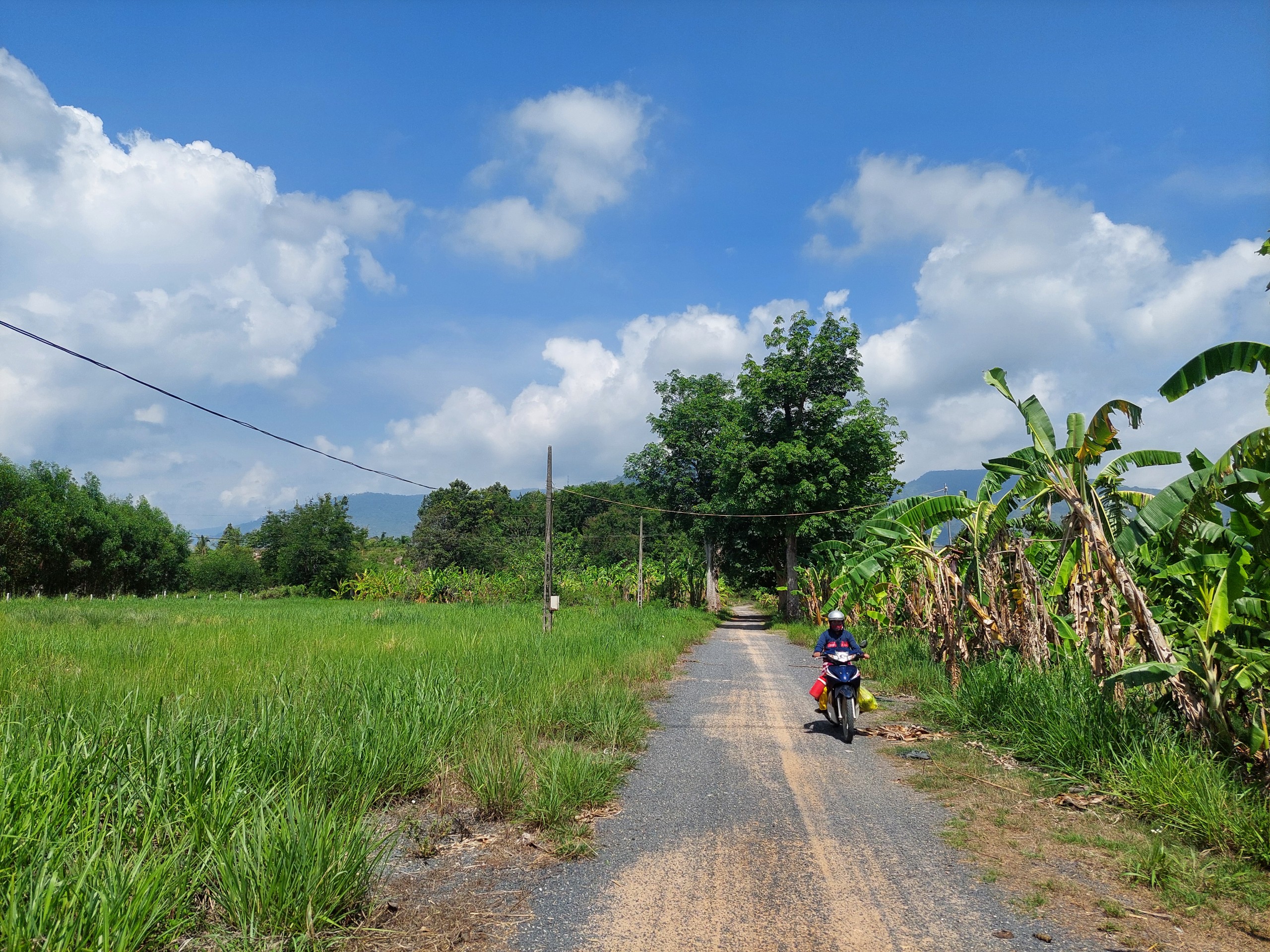 Dự án Đường vào khu mộ bác sĩ A.Yersin: Chờ góp ý của các sở, ngành, địa phương