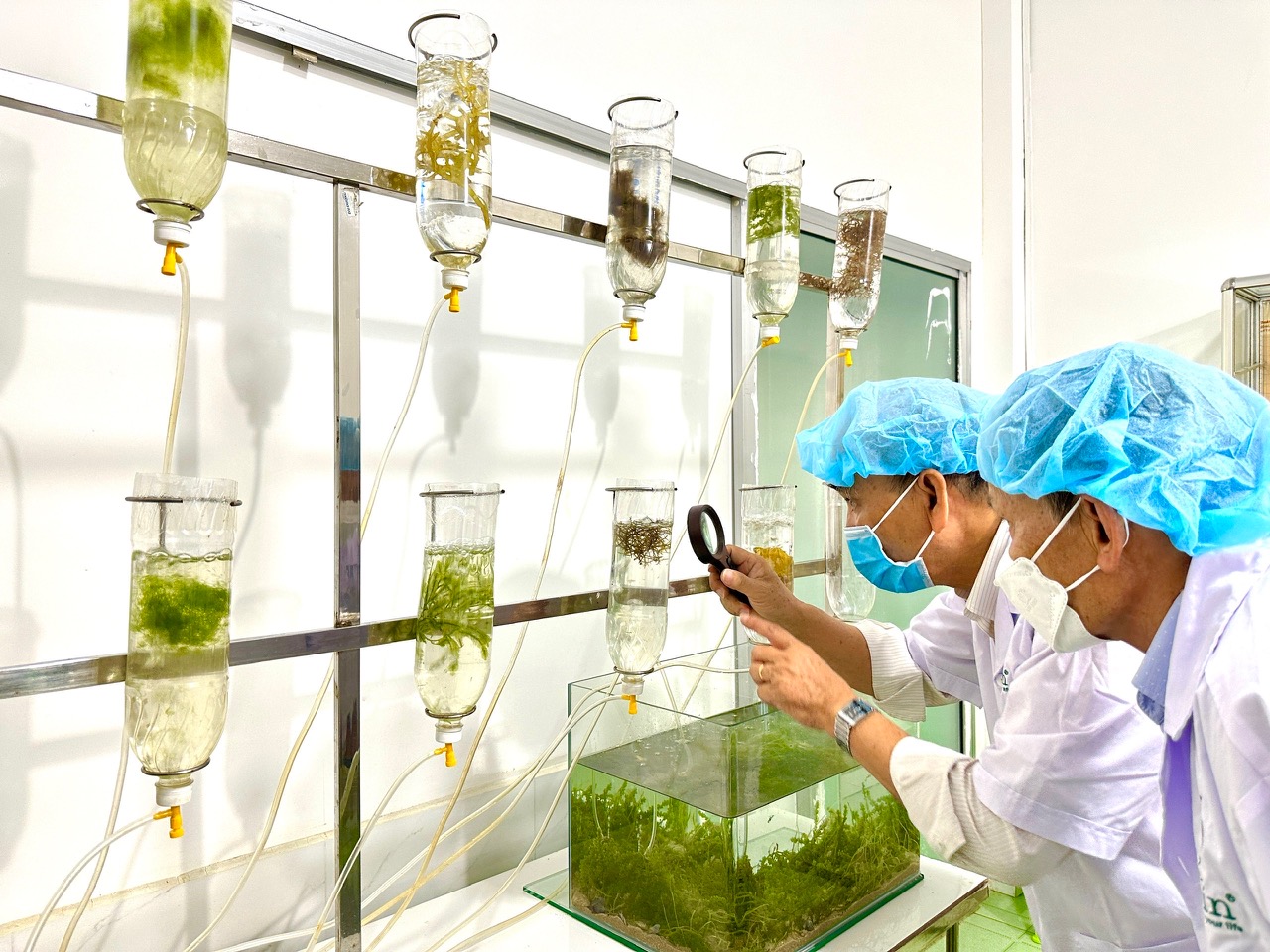 Chào mừng Ngày Khoa học và Công nghệ Việt Nam (18-5): Đưa thương hiệu Việt vươn ra thế giới