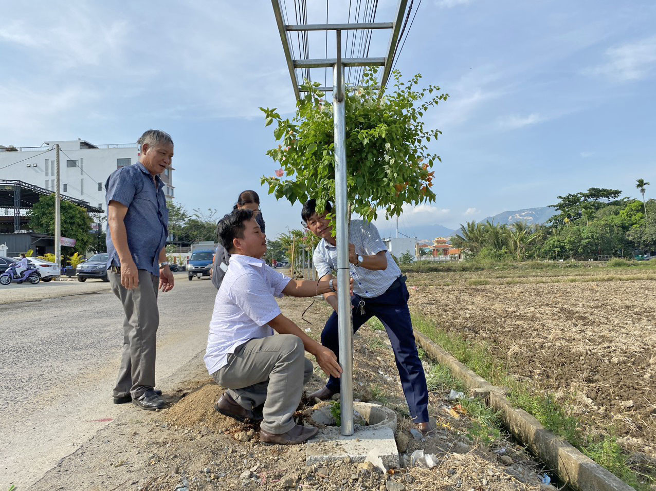 Cán bộ, nhân dân xã Vĩnh Phương trồng hoa giấy trên tuyến đường Nguyễn Lương Bằng.