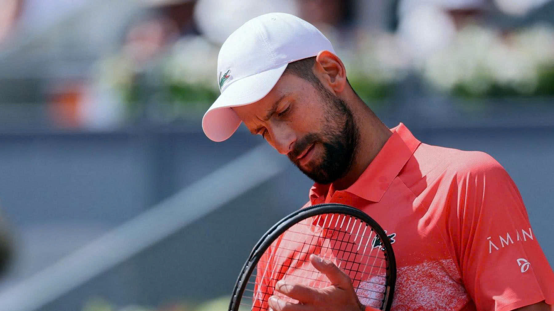 Djokovic gặp khó khi ở bảng đấu có tay vợt số một thế giới Sinner