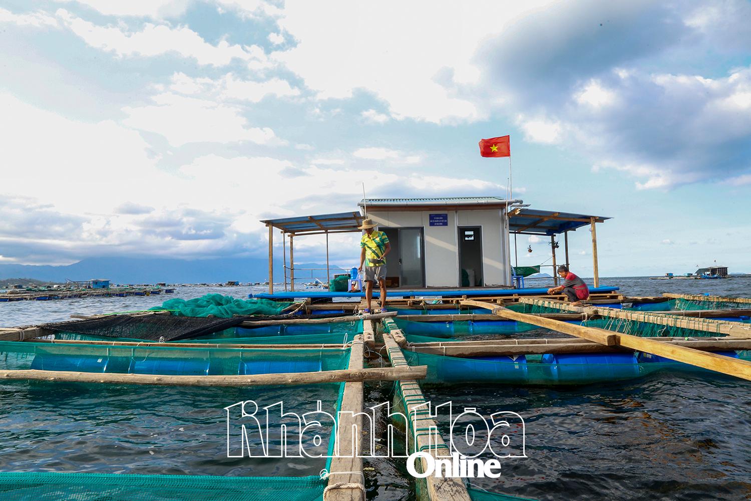 Chung tay bảo vệ Rạn Trào