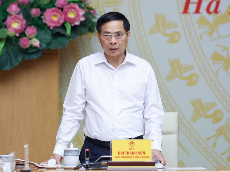 Phó Thủ tướng Bùi Thanh Sơn phát biểu tại buổi làm việc - Ảnh: VGP/Nhật Bắc