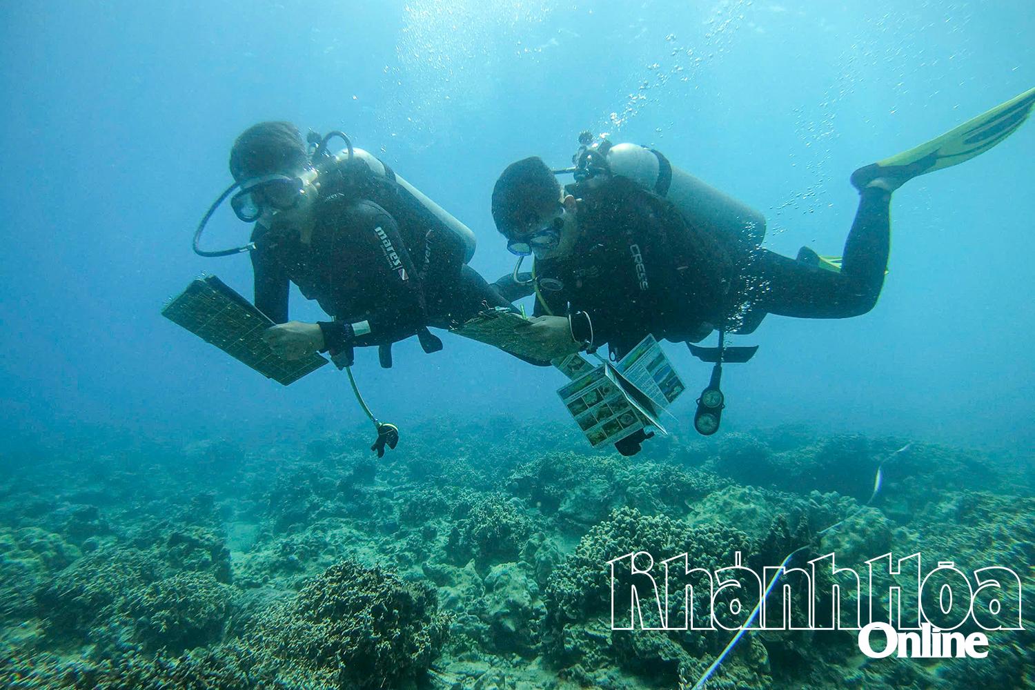 Những người làm việc trong lòng biển