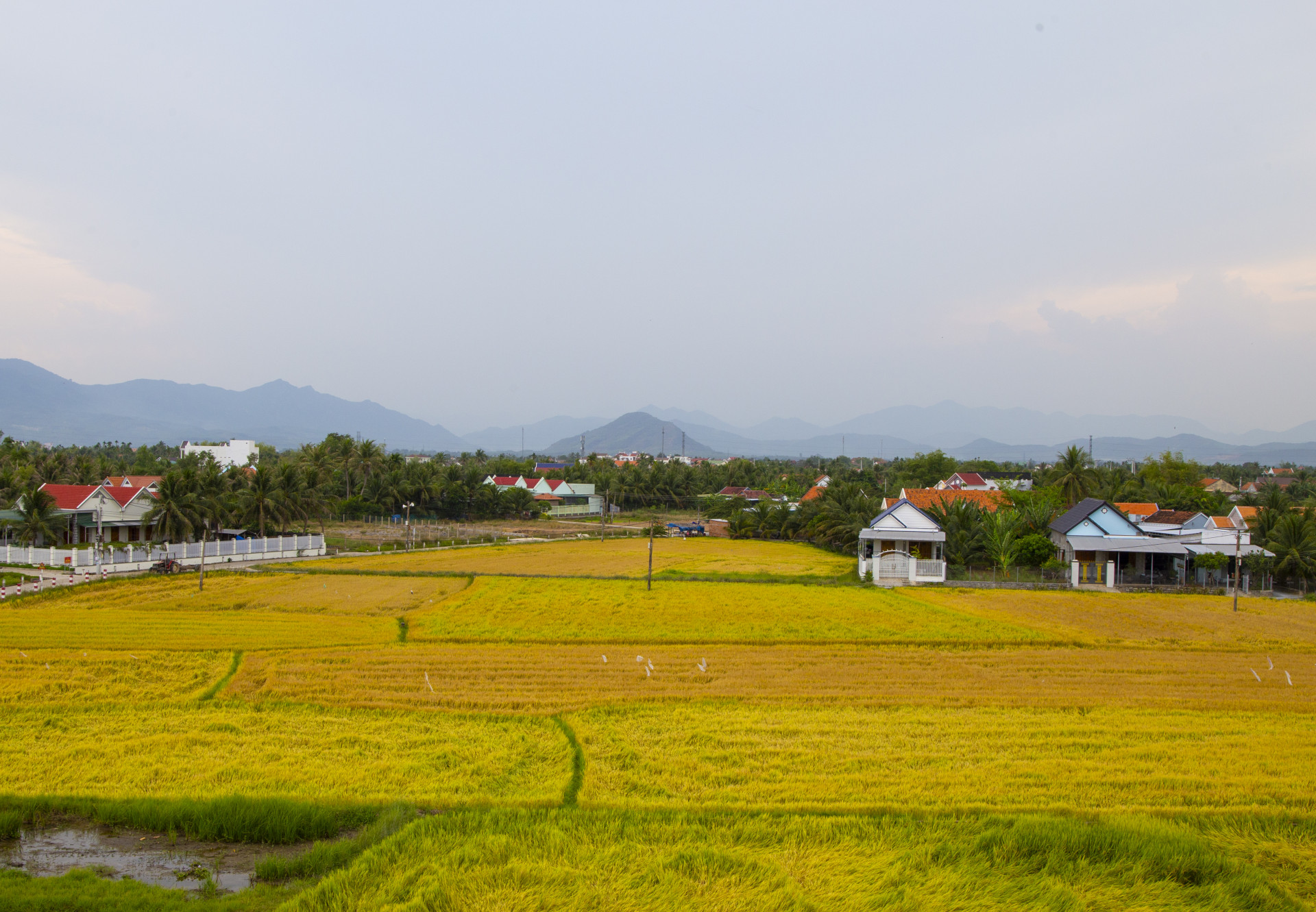 Quy định về mức nộp tiền để Nhà nước bổ sung diện tích đất chuyên trồng lúa bị mất hoặc tăng hiệu quả sử dụng đất trồng lúa trên địa bàn tỉnh Khánh Hòa
