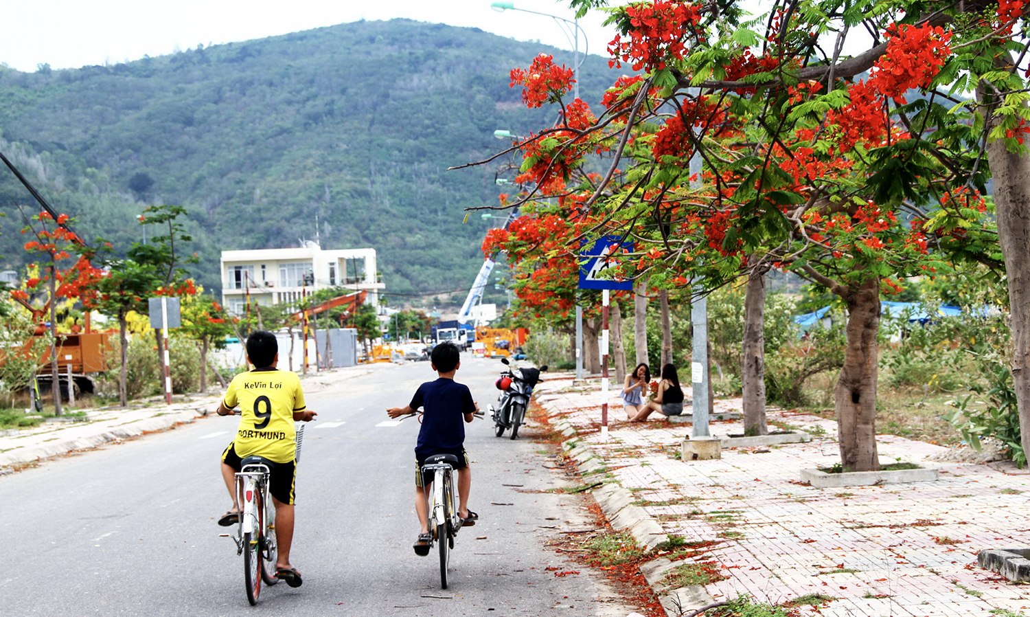 Những ngày mùa hạ