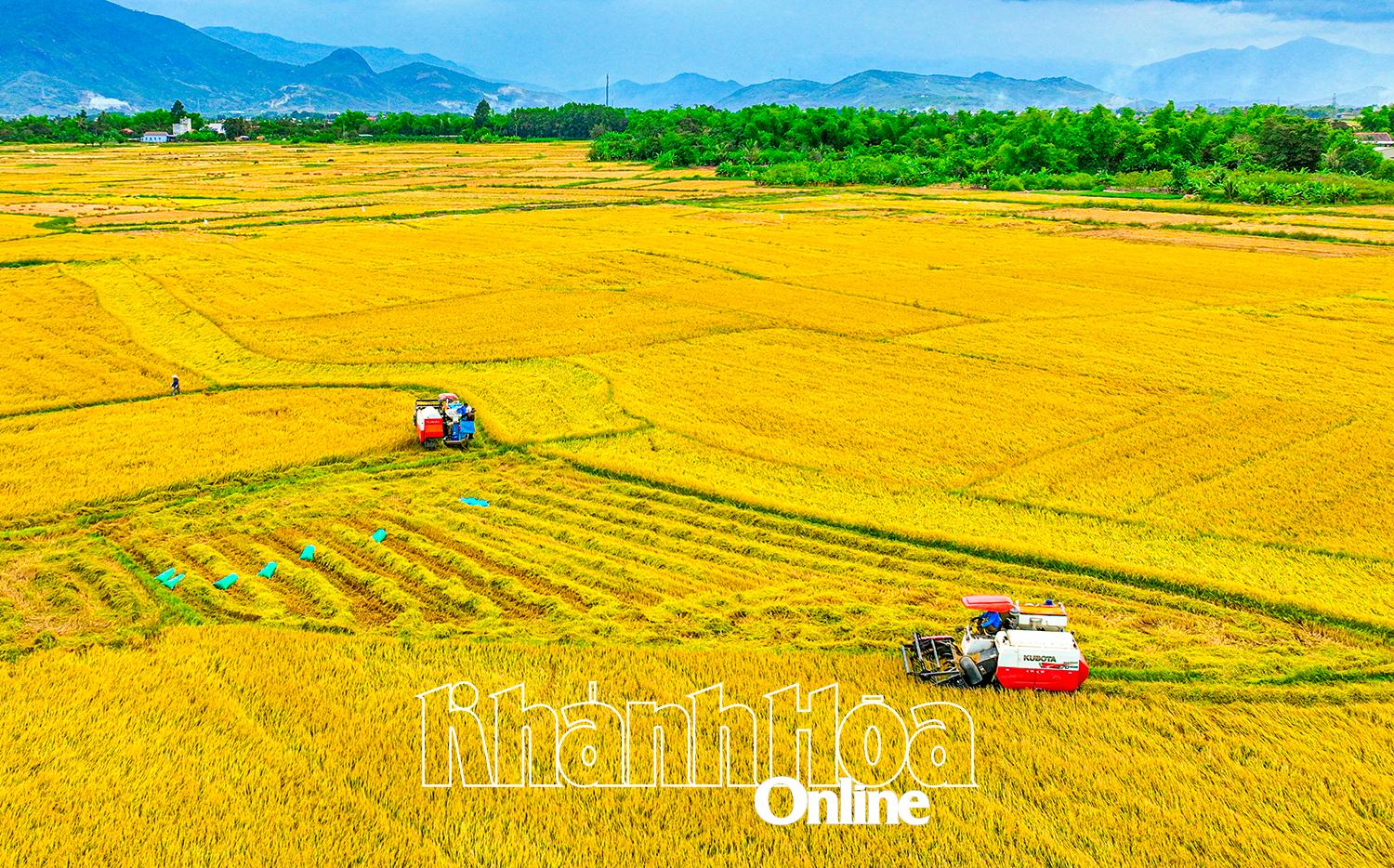 Nâng cao hiệu quả hoạt động các hợp tác xã