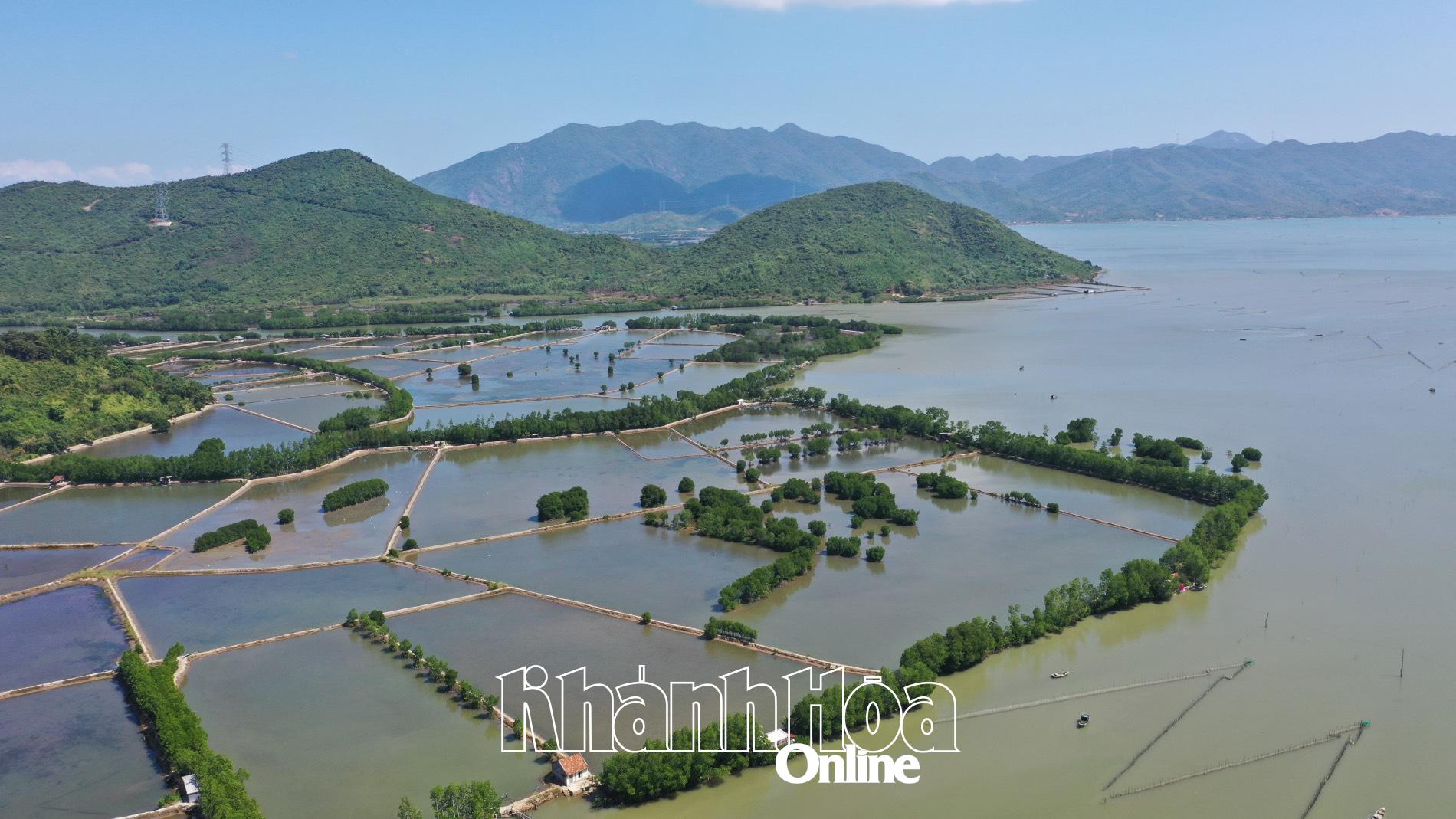 Triển khai kế hoạch thích ứng với biến đổi khí hậu 