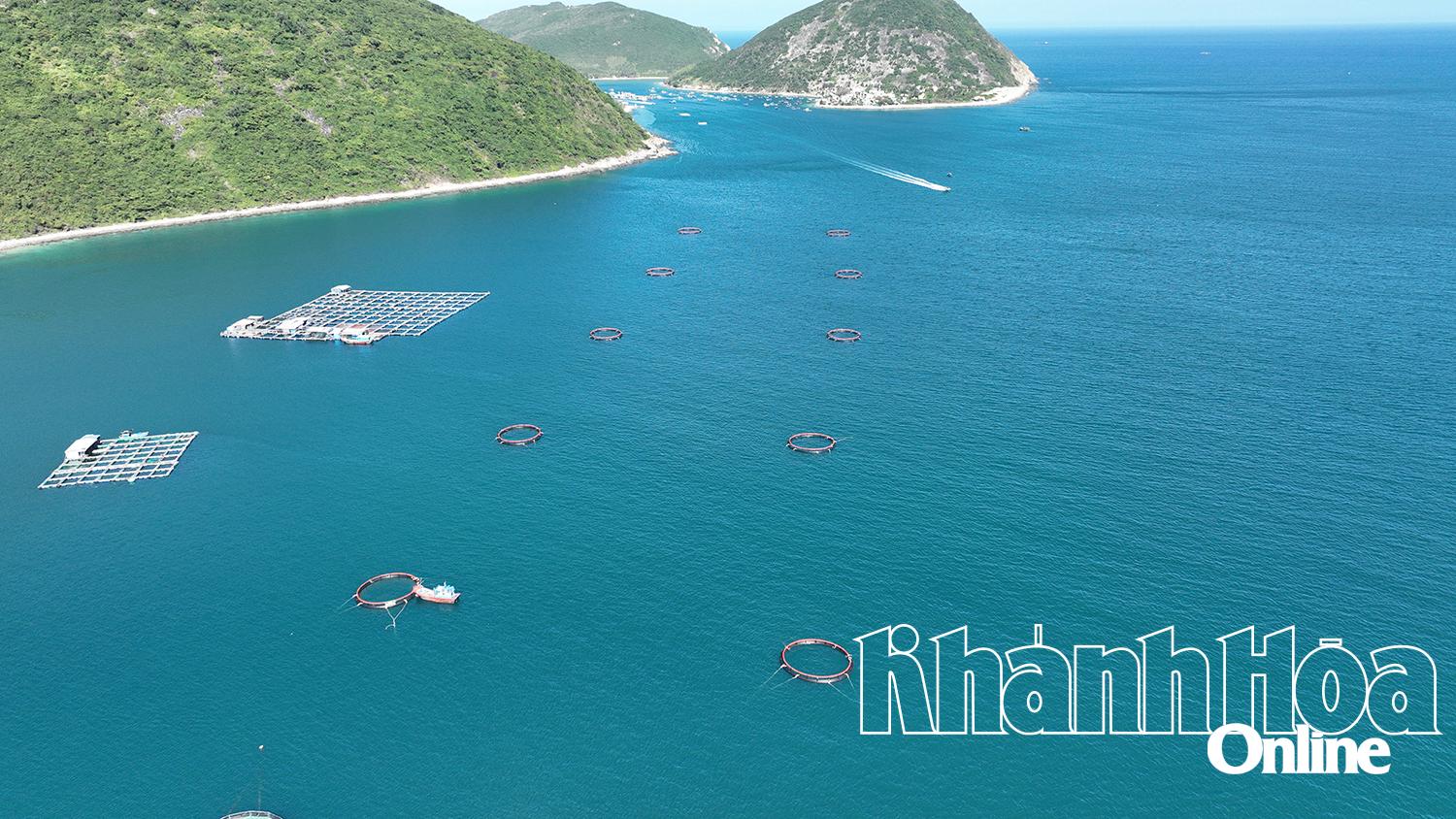 5 hộ nuôi biển công nghệ cao ở Đầm Bấy được cấp giấy phép nuôi trồng thủy sản trên biển