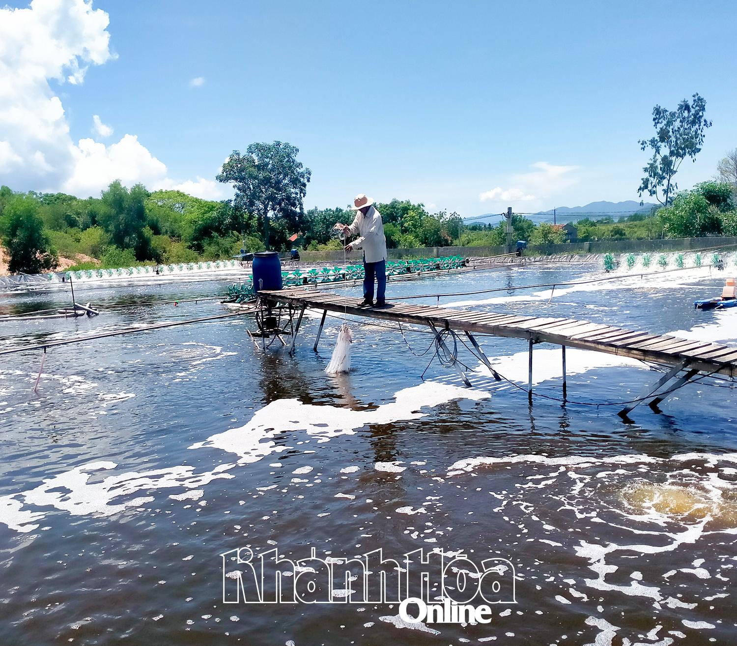 Cảnh báo nắng nóng và thời tiết giao mùa ảnh hưởng đến nuôi trồng thủy sản