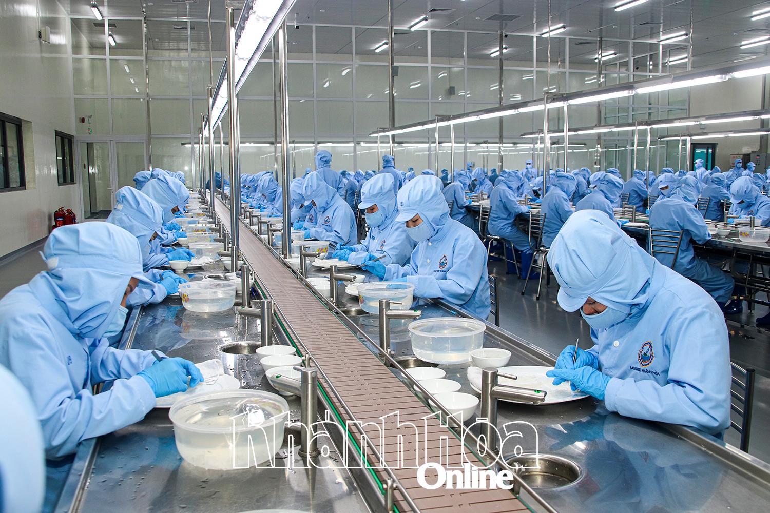 Tinh chế yến sào tại Công ty Cổ phần Nước giải khát Yến sào Khánh Hòa.