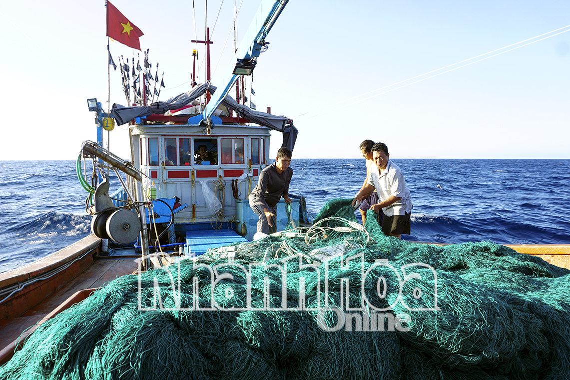 4 tháng, tổng sản lượng thủy sản của Khánh Hòa đạt 44.631 tấn