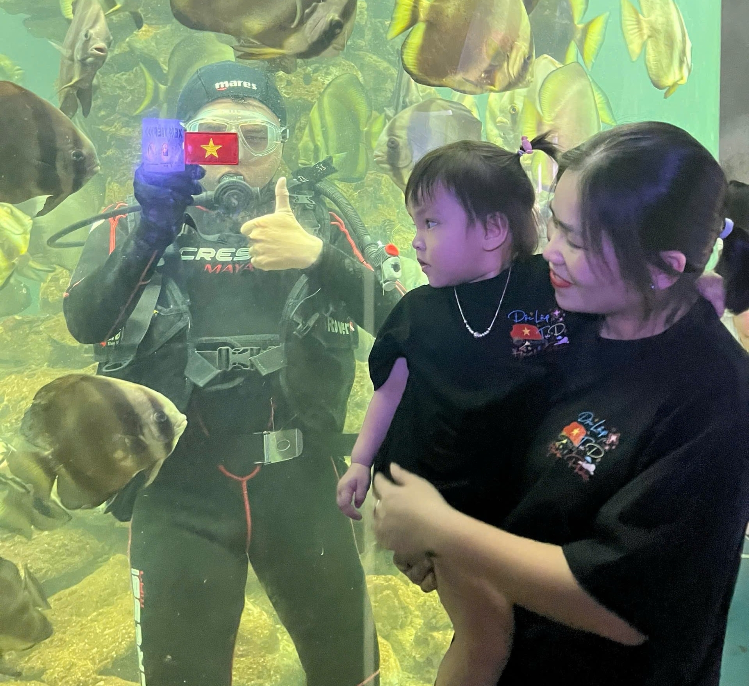 Bảo tàng Hải dương học hút khách tham quan