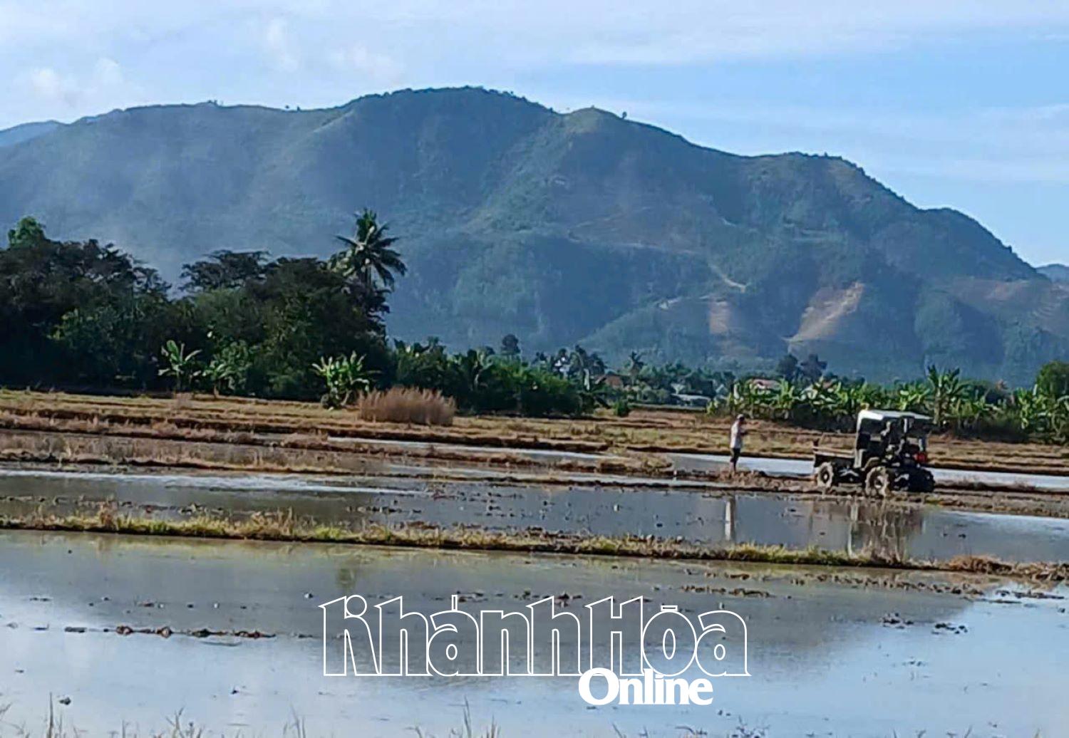 Một nông dân tử vong trên cánh đồng