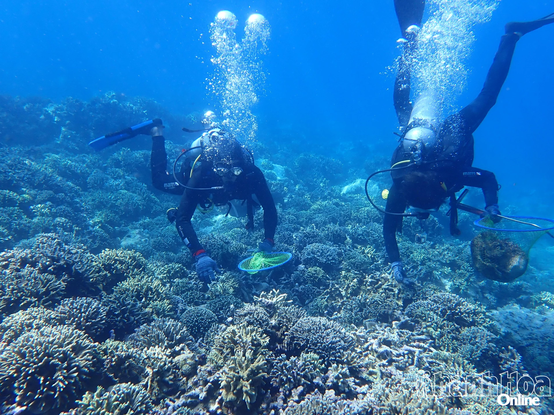 Staff from the Conservation Bureau collecting marine litter in Hon Mun sea area on May 13 morning 

