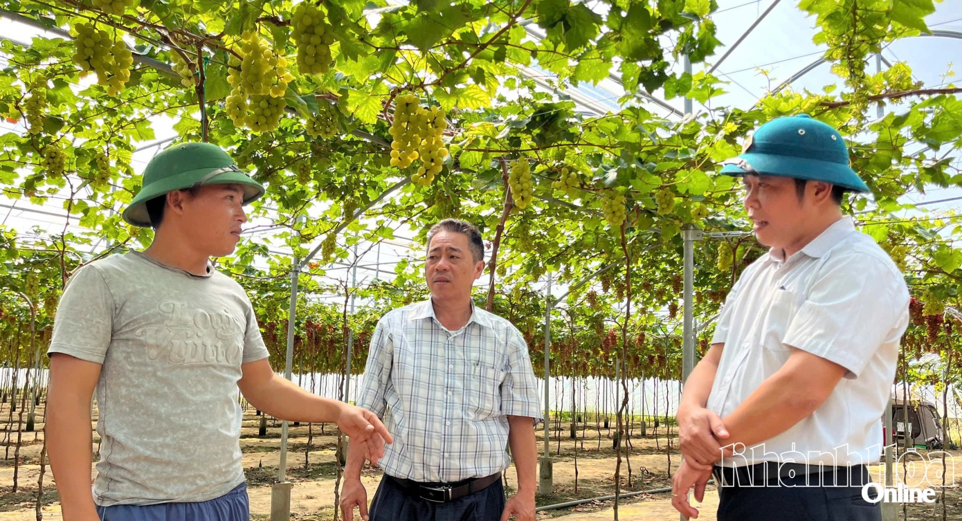 Tiến sĩ Phan Công Kiên (bìa phải) trao đổi với nông dân trồng nho ở phường Đô Vinh về giải pháp tiết kiệm nước tưới.
