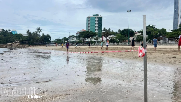 Khoanh vùng bảo vệ rạn san hô khu vực biển Hòn Chồng - Đặng Tất