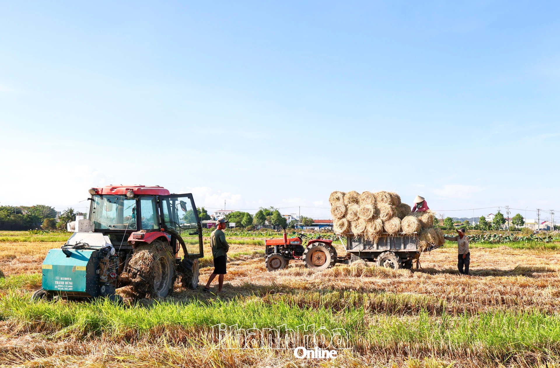 Nông dân dọn dẹp đồng ruộng chuẩn bị cho vụ sản xuất mới.