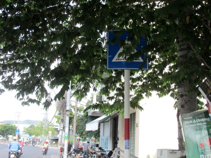 Biển báo giao thông bị cây xanh che phủ