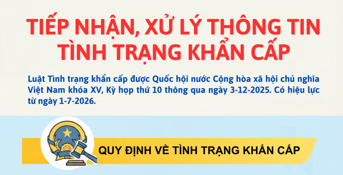 [Infographic] Tiếp nhận, xử lý thông tin tình trạng khẩn cấp
