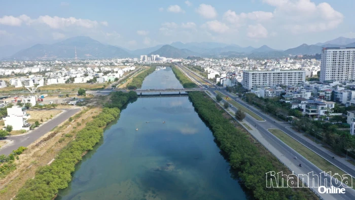 Khẩn trương thực hiện phương án phát quang, loại bỏ hàng cây ở Dự án Chỉnh trị hạ lưu Sông Tắc - sông Quán Trường