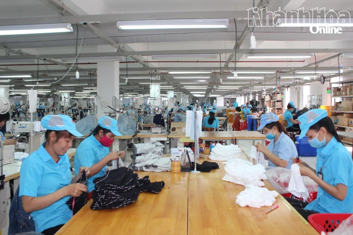Khánh Hòa xây dựng chính sách lao động thích ứng già hóa dân số