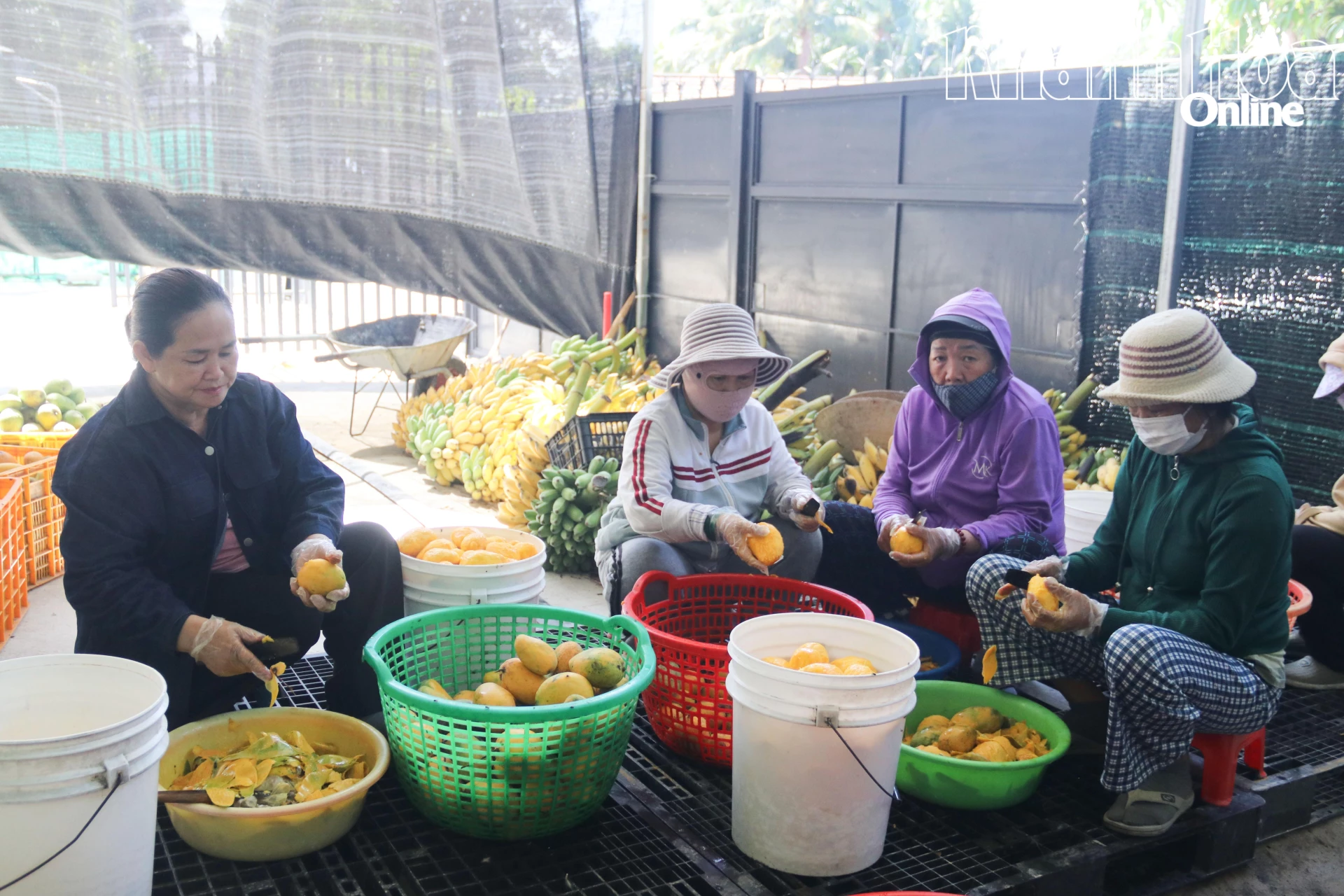 Xoài được gọt bỏ vỏ.