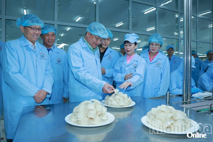 Đoàn đại biểu cấp cao Thủ đô Viêng Chăn thăm Nhà máy Chế biến nguyên liệu Yến sào Sanvinest Khánh Hòa