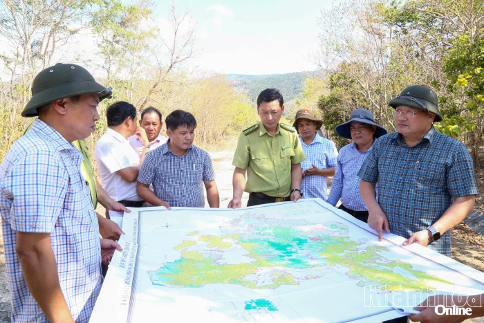 Tập trung phòng, chống cháy rừng