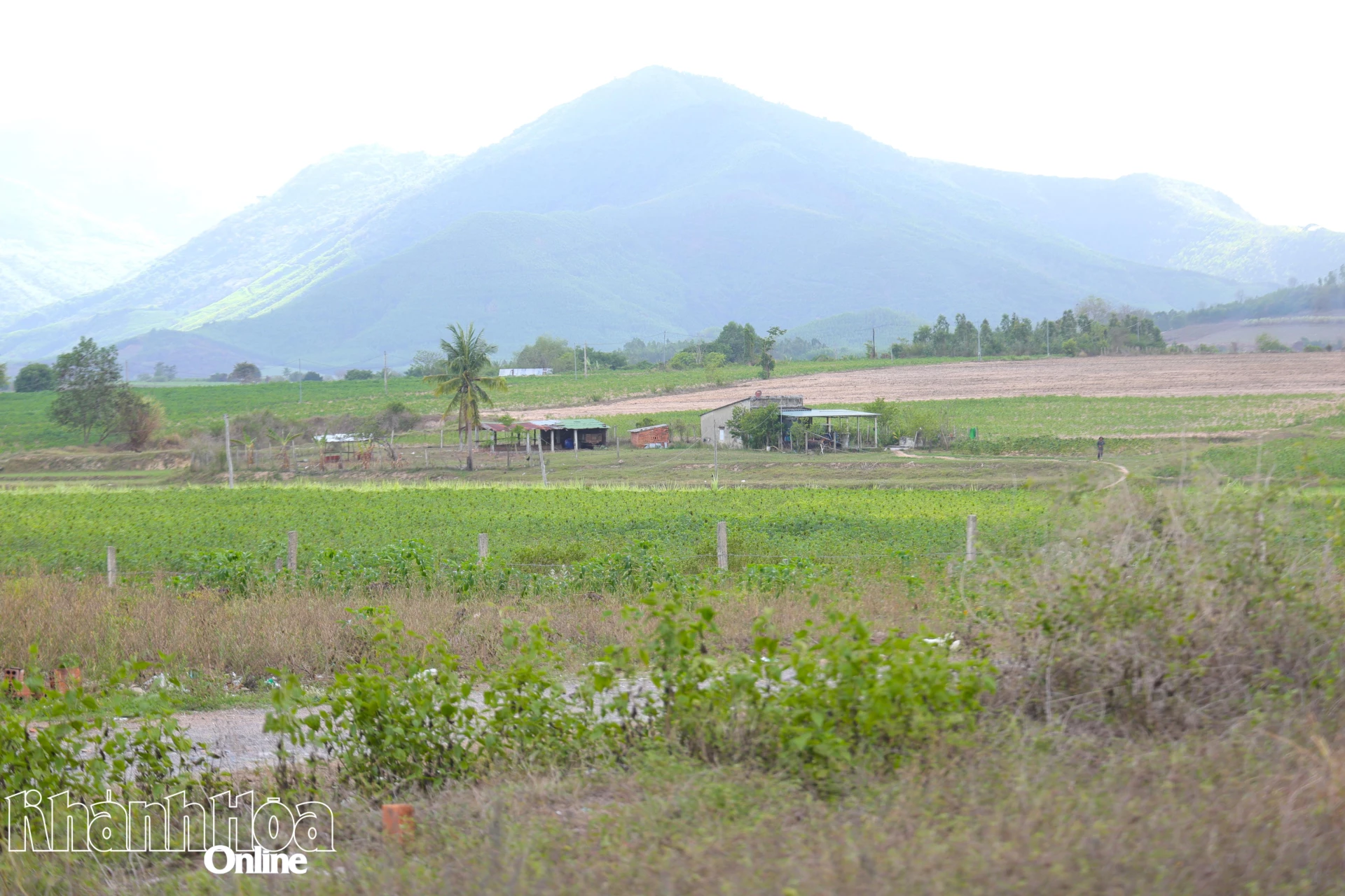 Vùng dự án Khu công nghiệp Ninh Xuân 1.