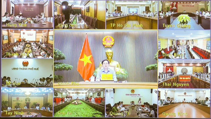 Kiểm soát chặt chẽ việc cấp, quản lý mã số vùng trồng