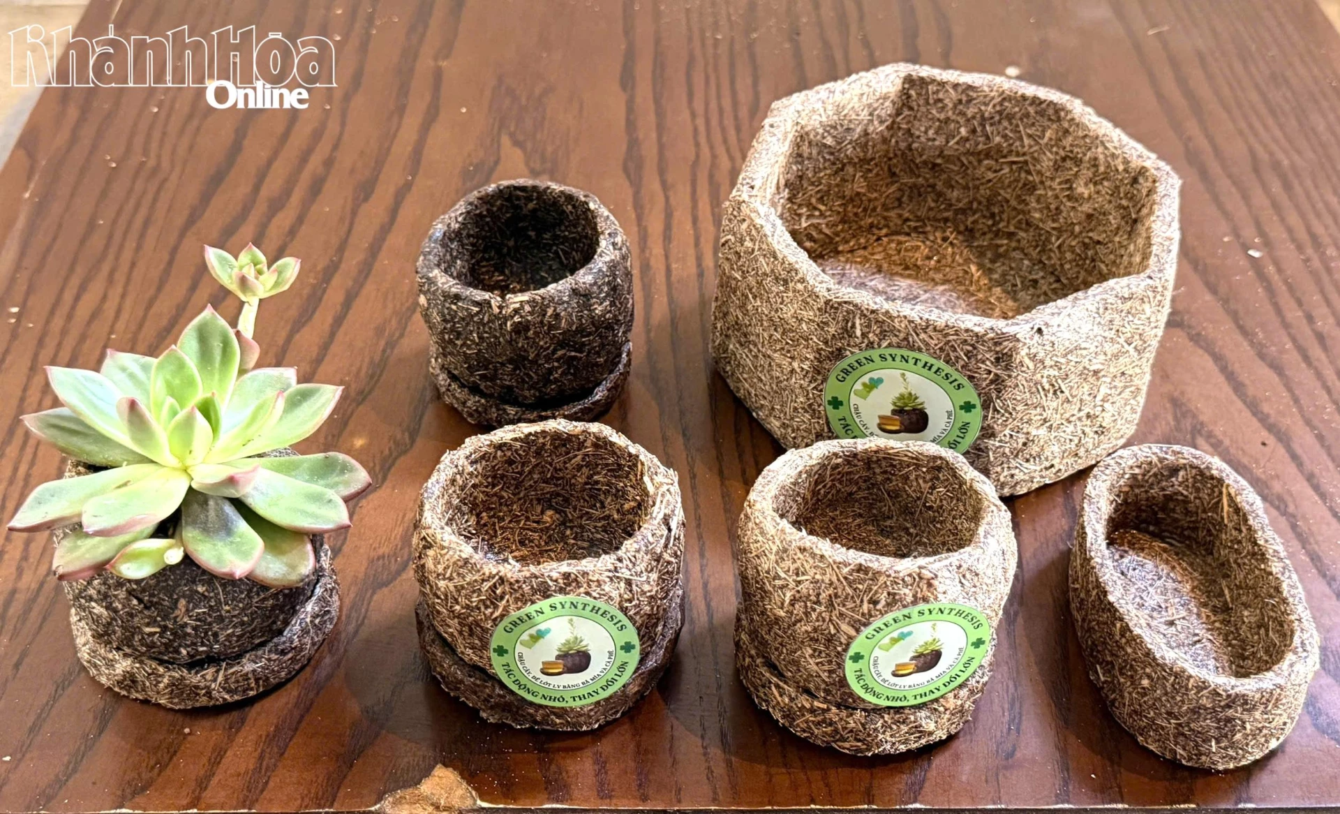 Sản phẩm chậu cây, đế lót ly phân hủy sinh học từ bã mía và bã cà phê của nhóm sinh viên Khoa Kinh tế, Trường Đại học Khánh Hòa.