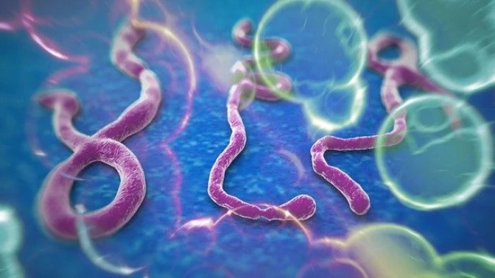 Khẩn trương triển khai các biện pháp phòng bệnh Ebola