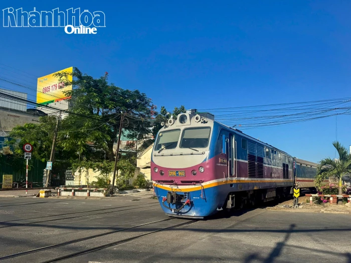 Xử lý 219 trường hợp vi phạm trật tự an toàn giao thông đường sắt