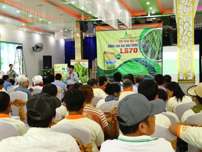 Hội thảo đầu bờ đánh giá giống lúa thuần LS70 