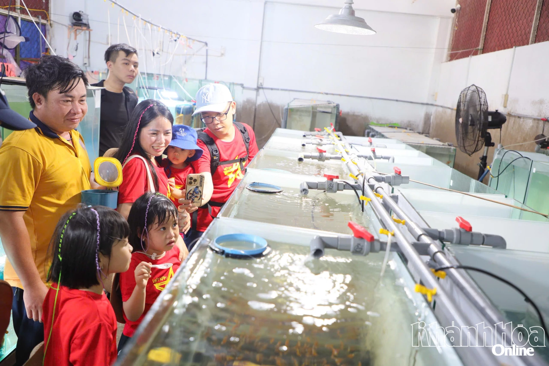 Nhiều bạn nhỏ thích thú khi khám khá khu vực nuôi cá nemo tại Bảo tàng Hải dương học.
