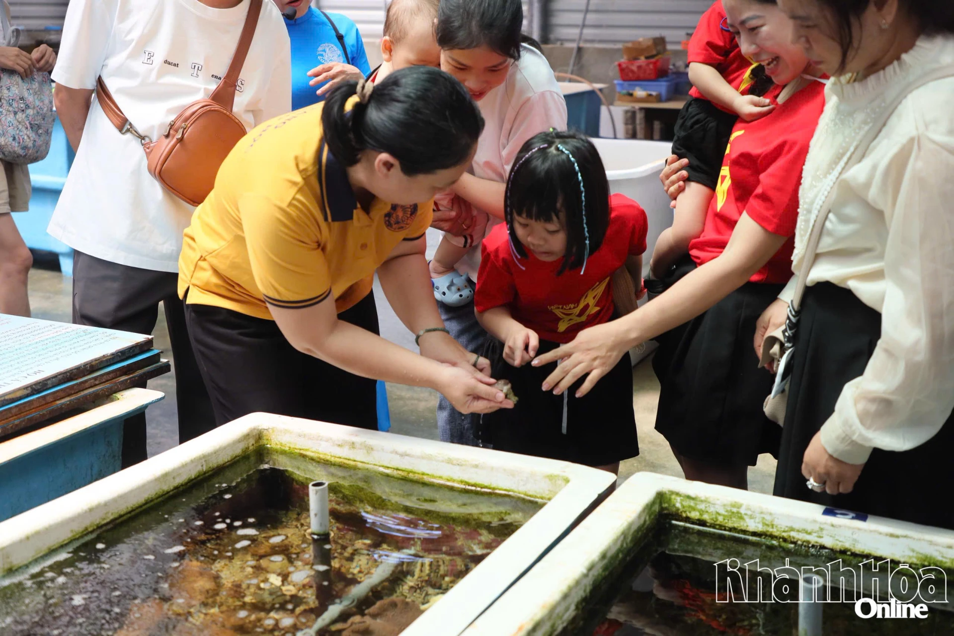 Các nhà khoa học giới thiệu các loài sinh vật biển cho khách tham quan tại Bảo tàng Open Day.