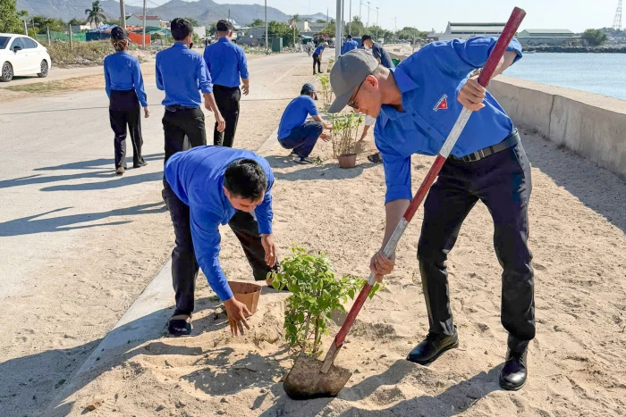 Cụm thi đua số 5 Tỉnh đoàn Khánh Hòa thực hiện công trình thanh niên "Tuyến đường hoa giấy"