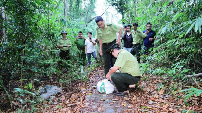 Thả 1 cá thể trăn gấm về môi trường tự nhiên