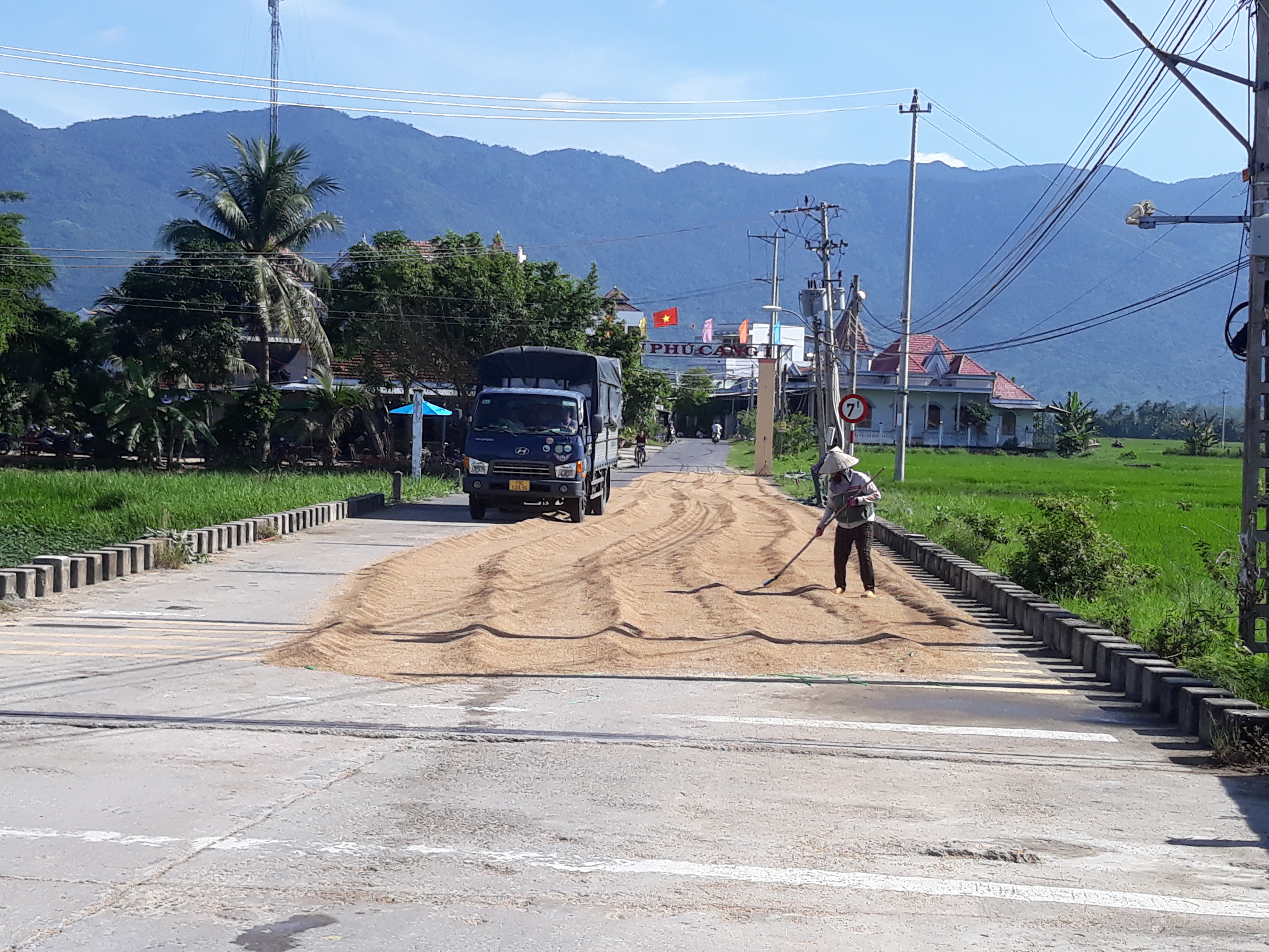 Chiếm dụng lòng đường để phơi lúa