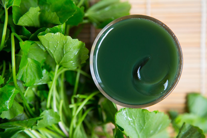 Cách làm đẹp da bằng rau má, vừa giúp thải độc lại chống lão hóa