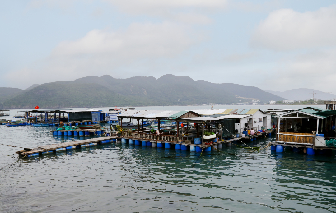 Aquaculture by Tri Nguyen Island