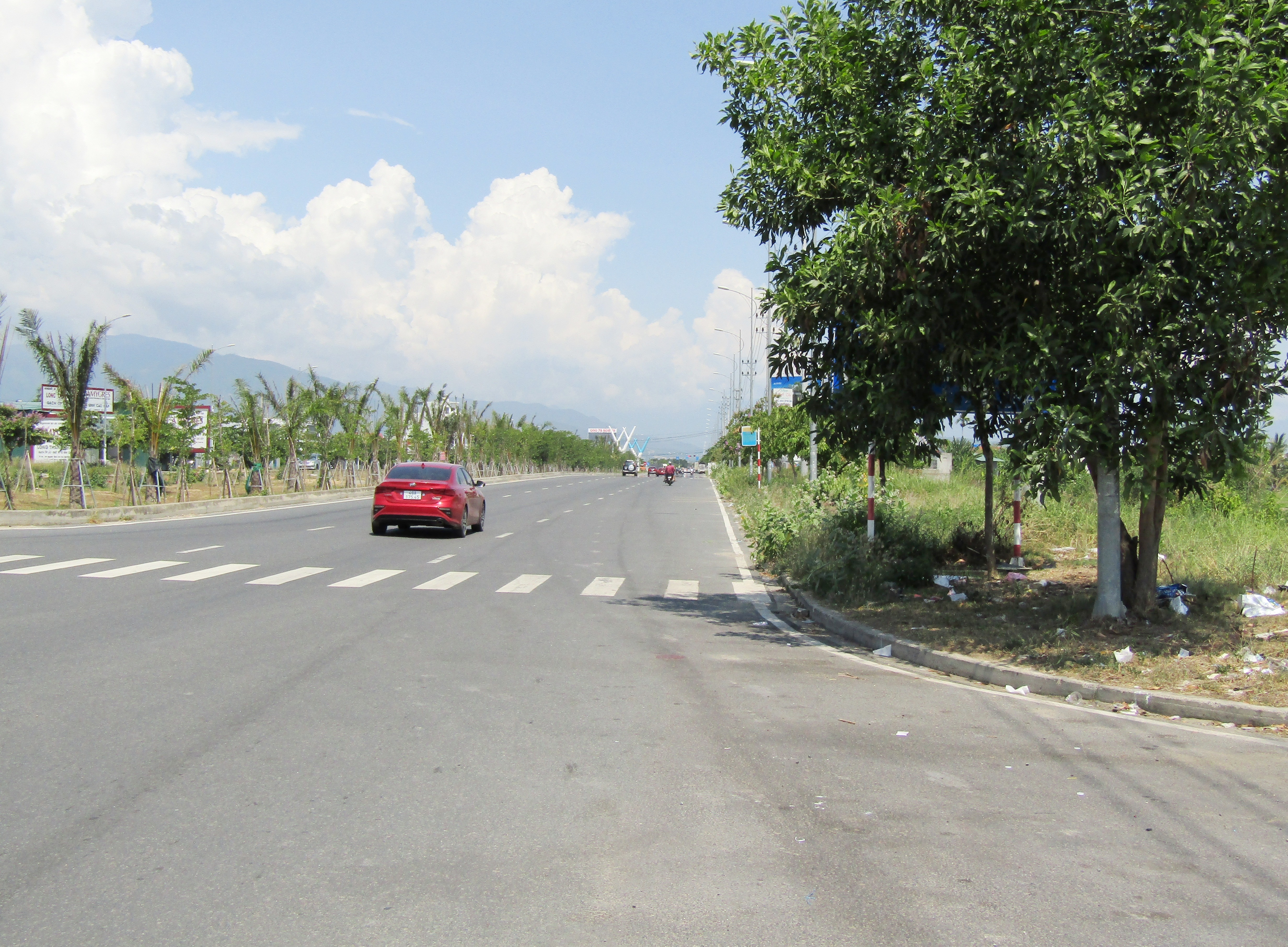 Biển báo giao thông bị cây xanh che khuất