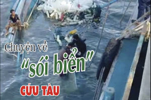 Chuyện về “sói biển” cứu tàu