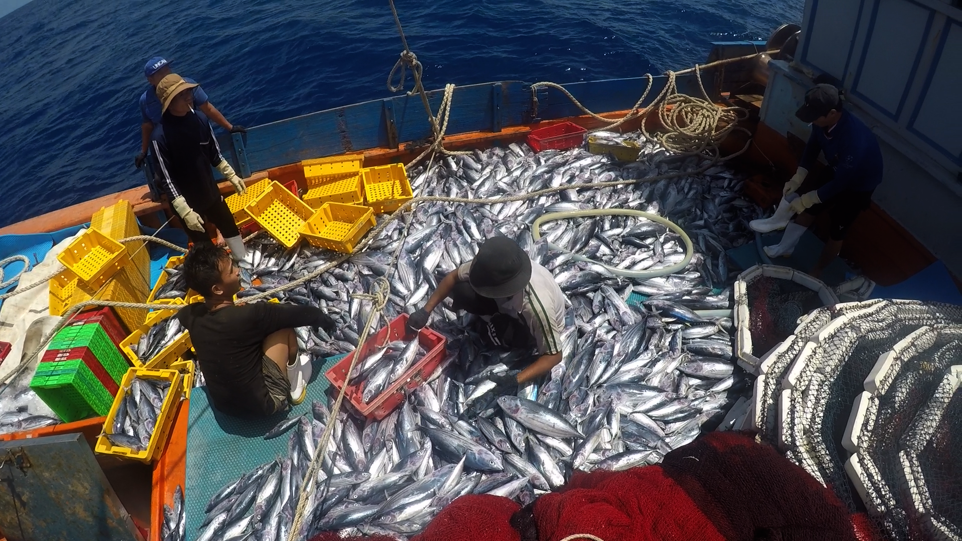 Nỗ lực gỡ cảnh báo “thẻ vàng”