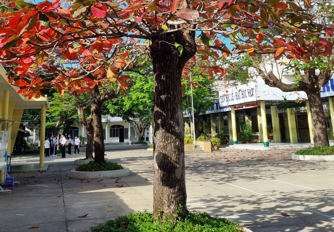 Như một giờ ra chơi